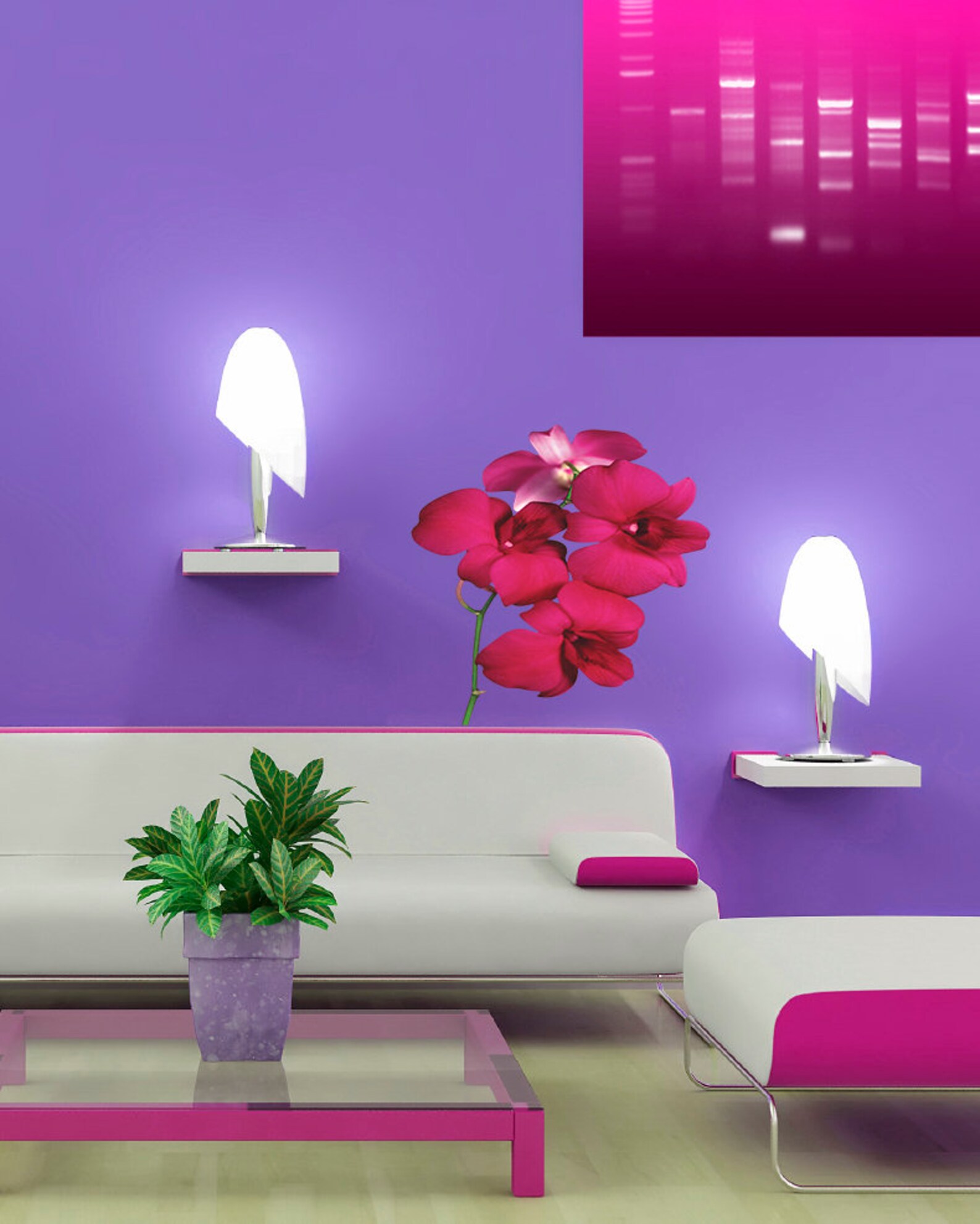 Orchid Wall Decal Orchid Wall Sticker Orchid Wall Decor Etsy