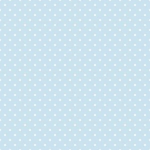Swiss Dot Boy Blue on White by Riley Blake Designs