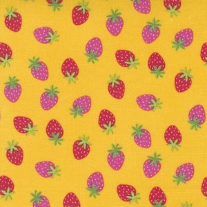 Rainbow Garden in Sunshine by Abi Hall for Moda Fabrics