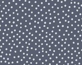 Gingham Foundry Dots in Denim by My Mind's Eye for Riley Blake Designs