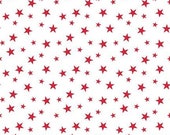 Land of Liberty Stars in White by My Mind's Eye for Riley Blake Designs