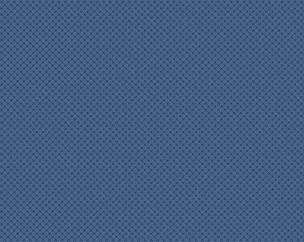 Denim Kisses - 1/2 Yard Increments, Cut Continuously - by Doodlebug Design for Riley Blake Designs