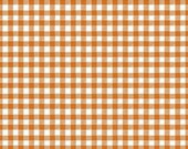 Bad to the Bone Orange Gingham by My Mind's Eye for Riley Blake Designs