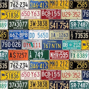 Route 66 Nummernschilder - in 1/2 Yard Schritten, fortlaufend geschnitten - von Timeless Treasures