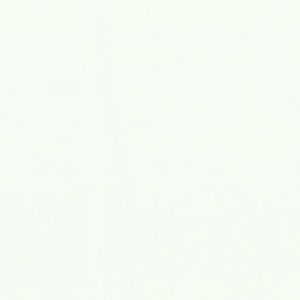 108&quot; Bella Quilt Back White 11082 98 Moda 100% Cotton