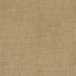 Texture Tan Mix Blender - Incrementi di 1/2 iarda, taglio continuo - di Timeless Treasures