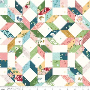 Melody Carpenter Star Cheater Print in Multi - 1/2 Yard Increments, Cut Continuously - by Beverly McCullough for Riley Blake Designs