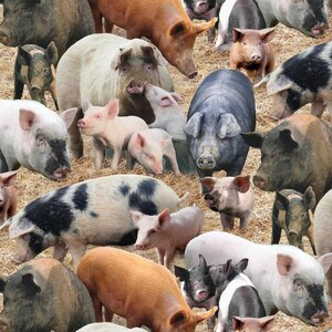 Brown Pigs by Keith Kimberlin for Elizabeths Studio
