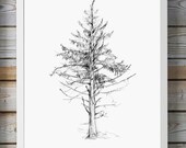 Items Similar To Pine Tree Pencil Drawing Giclee Print