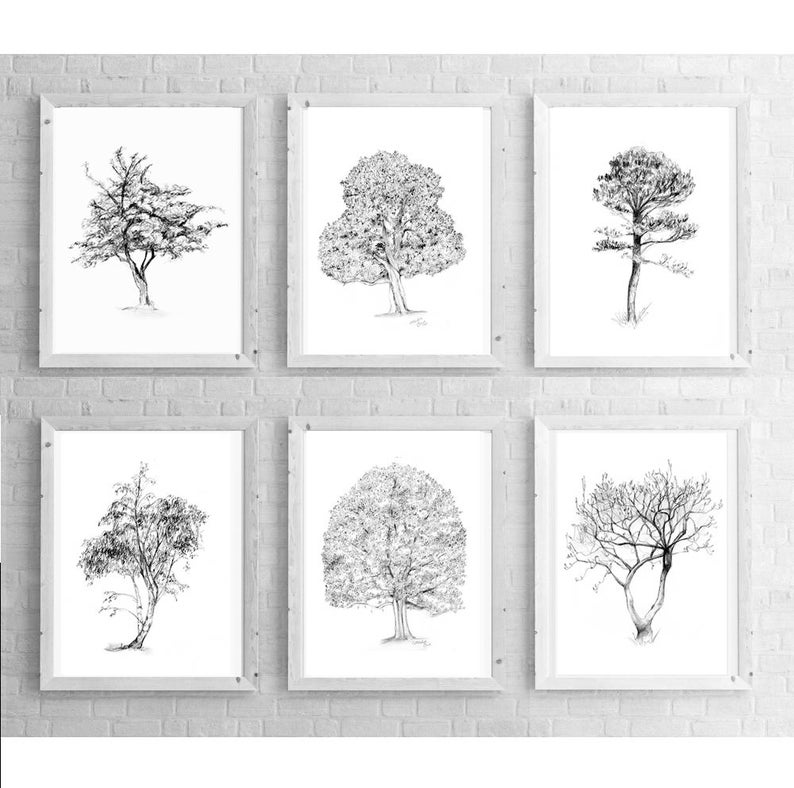 Wall art tree illustration Art print tree sketch magnolia birch tree Zen drawing pencil Tree art Set of 6 Tree Pencil drawings