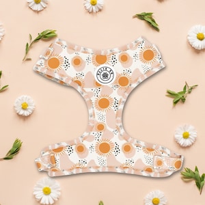 Hondentuig Pink Polka Dot Sun voor meisjeshond