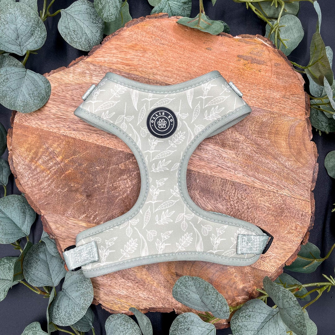 Boho Botanical Dog Harness: Sage Green Adjustable Pet Harness - Etsy