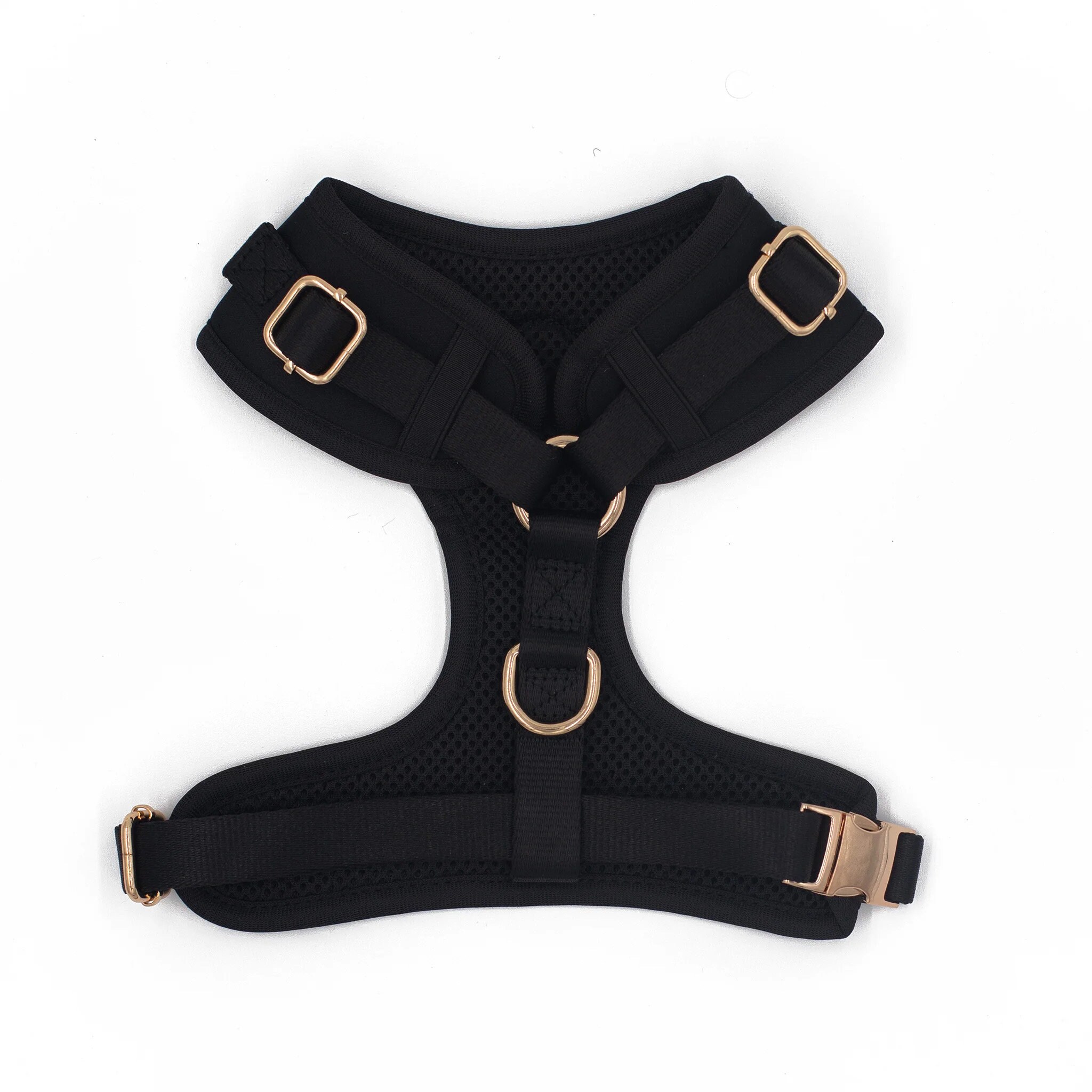 Black and gold dog harness online
