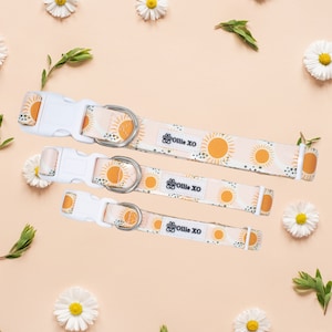 May include: Three dog collars with a white background and a pattern of orange suns. The collars are different sizes and have a silver buckle and a white tag that says "Ollie XO".