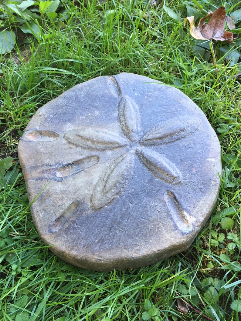 Textured Sand Dollar Stepping Stone Stone Mold DIY Kit Etsy