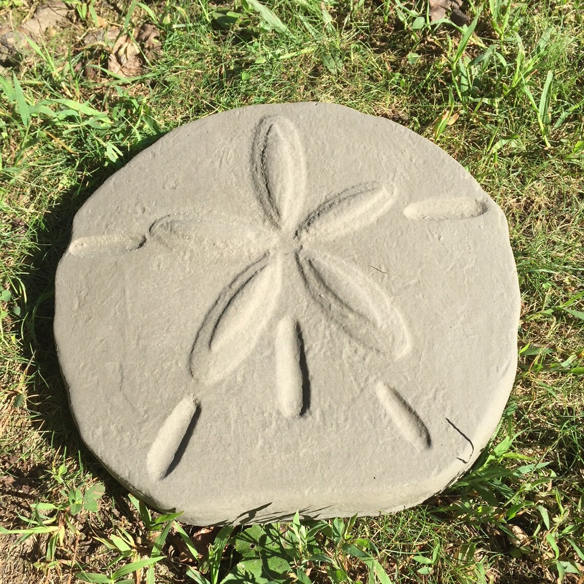 Textured Sand Dollar Stepping Stone Stone Mold DIY Kit Etsy