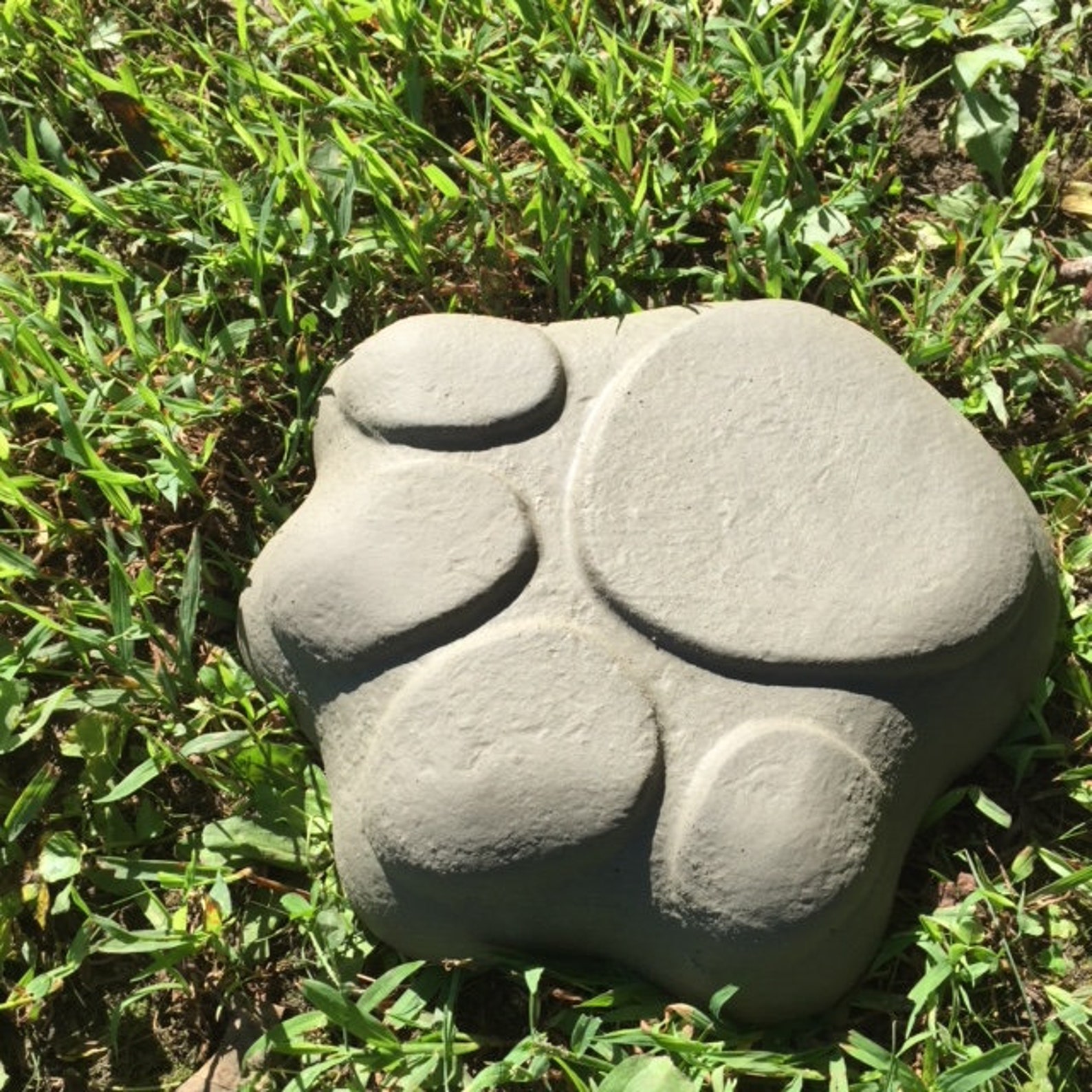 Paw print stepping stone mold Dog Paw Puppy Dog or cat Etsy