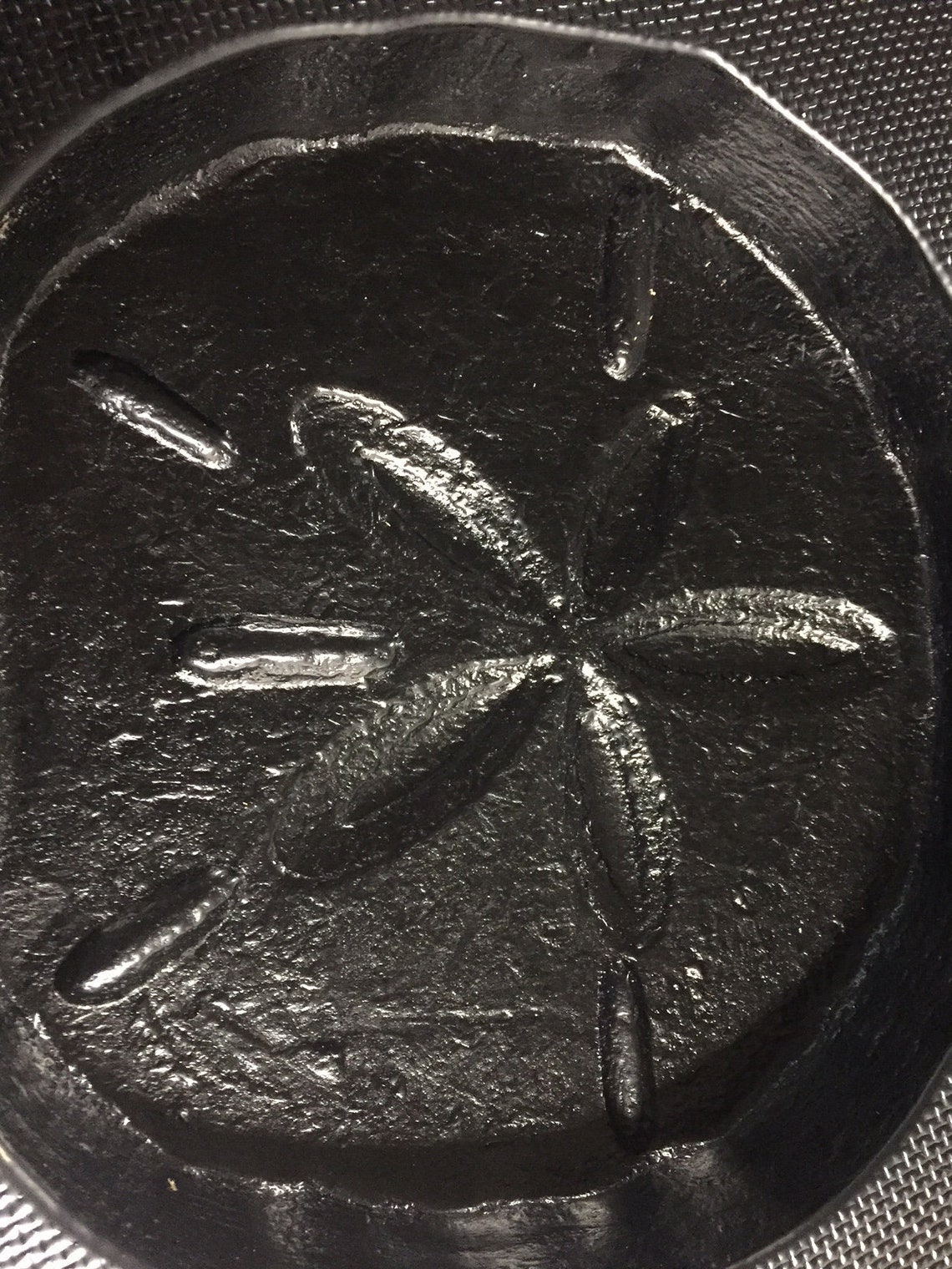 Textured Sand Dollar Stepping Stone Stone Mold DIY Kit Etsy