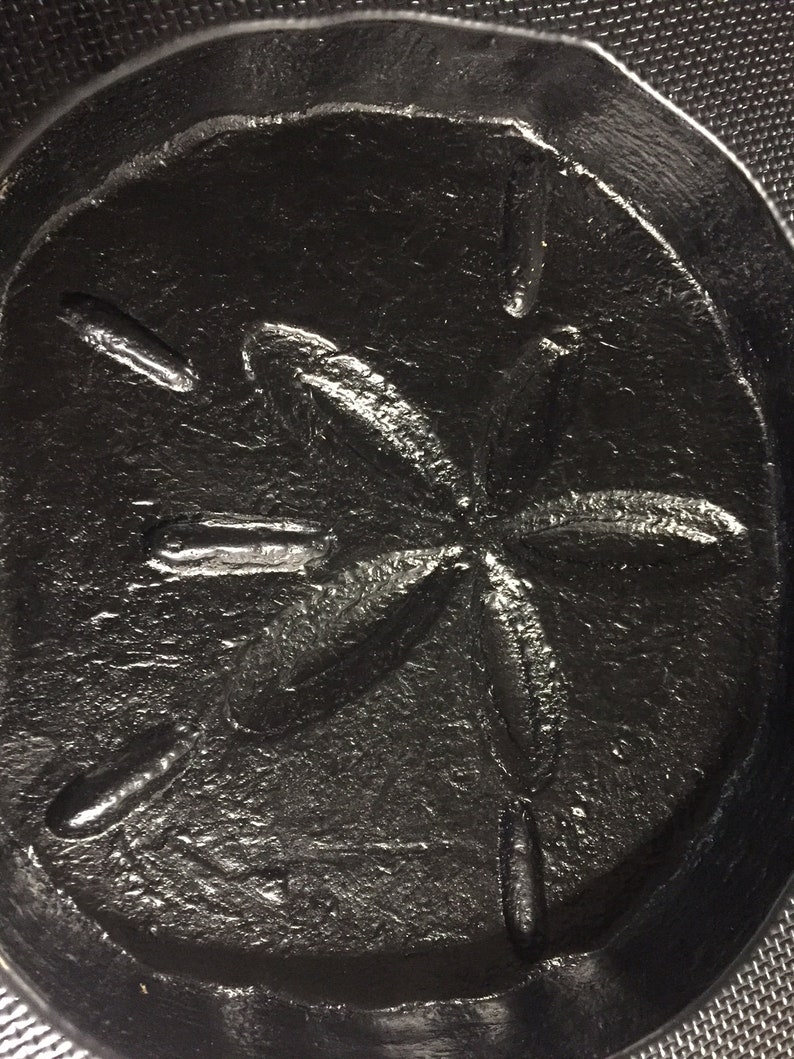 Textured Sand Dollar Stepping Stone Stone Mold DIY Kit Etsy