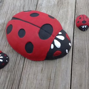 Concrete mold for making Ladybugs Stone Mold  Use to make your own Stepping Stones Made from abs plastic