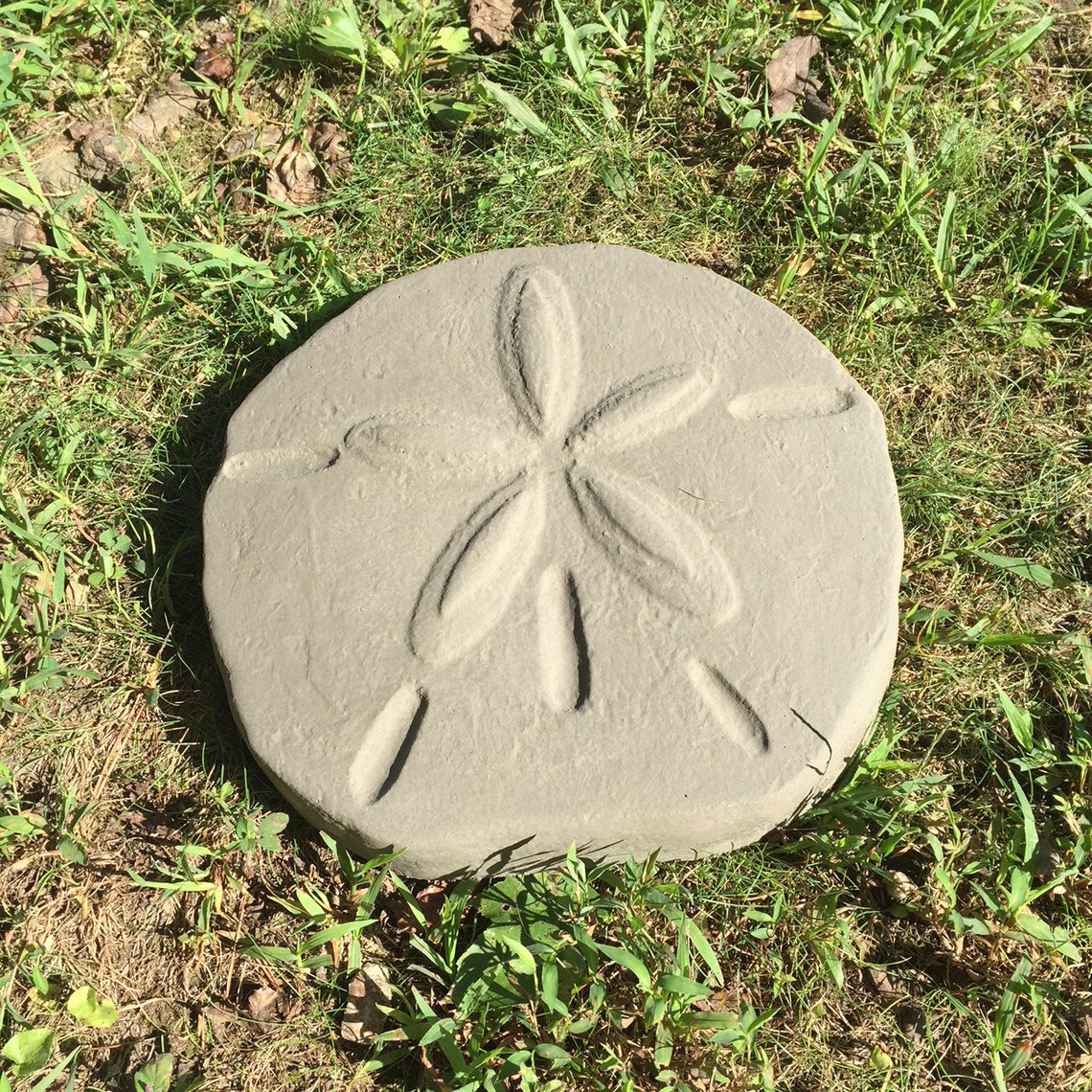 Textured Sand Dollar Stepping Stone Stone Mold DIY Kit Etsy