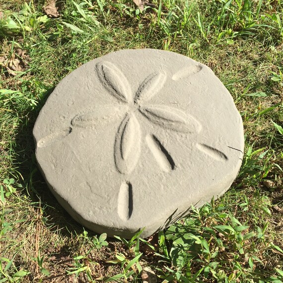 Textured Sand Dollar Stepping Stone Mold Diy Kit Home Decor Beach And Tropical Designs