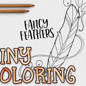 DIY Mini Zine Coloring Book - Boho Feathers - Coloring Book - Printable