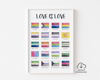 Stampa LGBTQ+, Guida alle bandiere del Pride, Love is Love Wall Art, Poster Gay Pride, Regalo LGBTQ, Arte gay, Arte queer, Download digitale