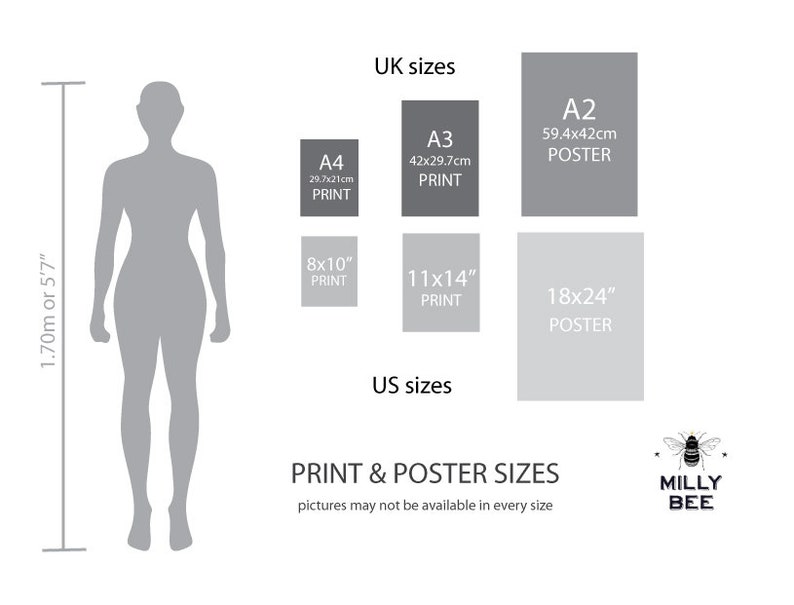 Pu&ograve; includere: Un grafico che mostra diverse dimensioni di stampa e poster in pollici e centimetri. Il grafico include una silhouette di una persona per mostrare la dimensione relativa di ogni stampa e poster. Il grafico include anche il testo "UK sizes", "US sizes", "PRINT & POSTER SIZES", "pictures may not be available in every size", "MILLY BEE".