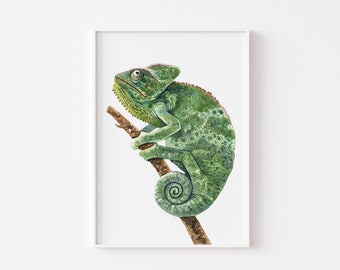 Chameleon Wall Art, Watercolour Print, Kids Room Décor,