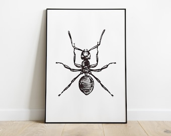 ANT Print, Sketched Black and White Insect Print, Entomology, Boys room décor