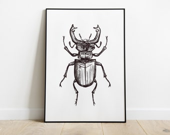 STAG BEETLE Print, Sketched Black and White Insect Print, Entomology, Boys room décor