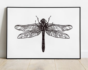 Dragonfly Print, Sketched Black and White Insect Print, Entomology