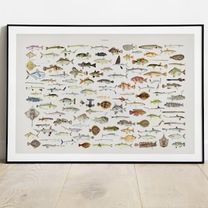 Fishing Print, Deep Sea Fish , Gift for Fisherman, Vintage Fish Species Illustration, Vintage Fish Wall art, Gift for Dad. Gift for Grandpa