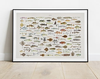 Fishing Print, Deep Sea Fish, Gift for Fisherman, Vintage Fish Species Illustration, Vintage Fish Wall art, Gift for Dad. Gift for Grandpa