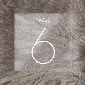 Table numbers, wedding table numbers, acrylic table number, lucite table numbers, wedding signs, acrylic wedding signs, lucite NUM000-nc