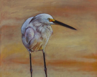 Snowy Egret, shore bird art