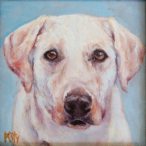 Labrador Retriever, Lab dog, small dog portrait