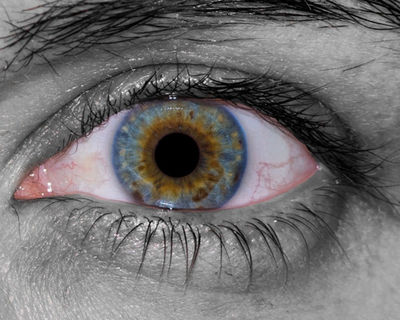Sanguine, Eye Art Photography, Eye Color Photography, Iris Photography