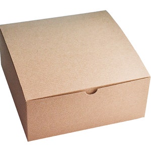 May include: A square, light brown cardboard box with a hinged lid. The box features a smooth, matte finish and a small, semi-circular cutout on the front edge of the lid, designed to facilitate opening the container securely and efficiently.