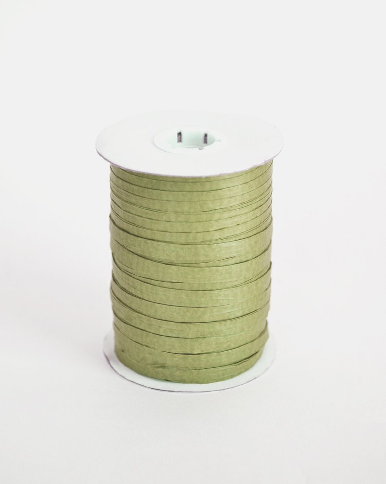 Meadow Raffia, Quality Paper Ribbon, Gift Wrapping and Packaging, Craft Supply, 100 Yards Spool immagine 1