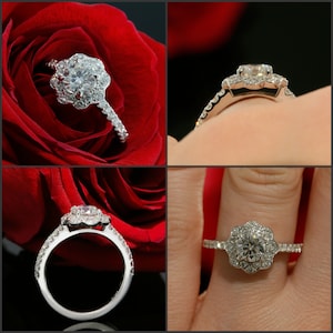 May include: A silver engagement ring with a large, round, clear diamond surrounded by smaller diamonds in a flower-shaped setting. The ring is shown on a red rose and on a finger.