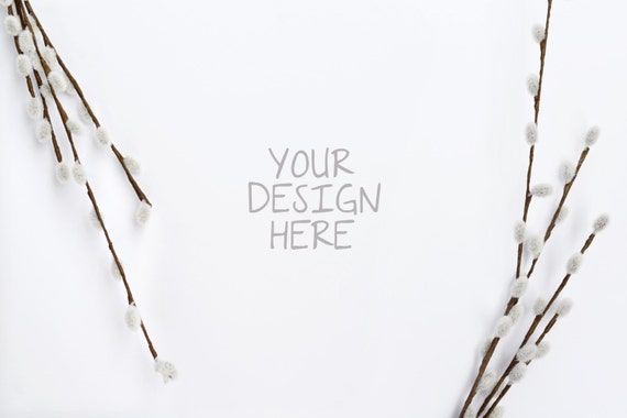 Styled Photography Mockup Pussy Willow Digital Download Styled Photo