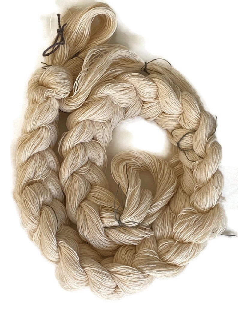 Pre-wound, undyed weaving warp, 12/2 cotton, in multiple ends and lengths image 5