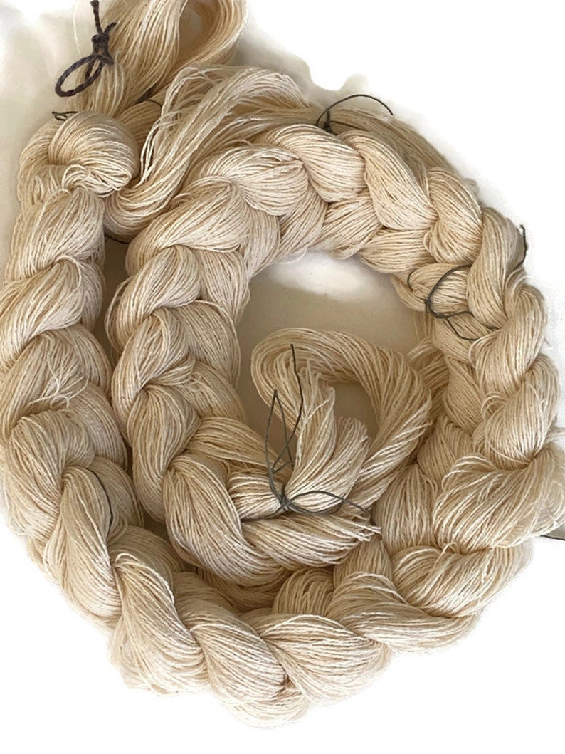 Pre-wound, undyed weaving warp, 12/2 cotton, in multiple ends and lengths image 4