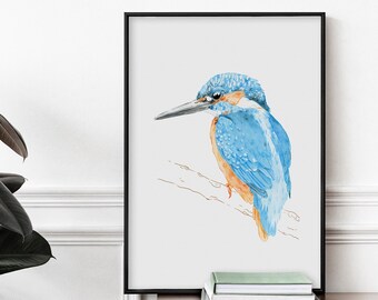 Common Kingfisher Print - A3