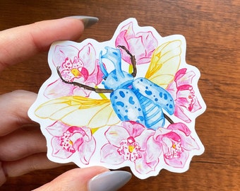 Orchid Beetle Sticker