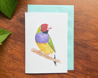 Gouldian Finch Card