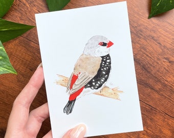 Diamond Firetail Print