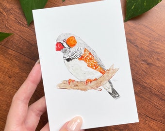 Zebra Finch Print